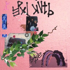 DIDIT - PINKATHON (prod by $arato)