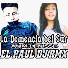 LA DEMENCIA DEL SUR - CUMBIA // EL PAUL DJ RMX