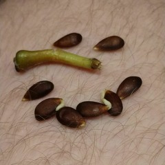 Yellow Trip - Live In The Moment Single Take Version