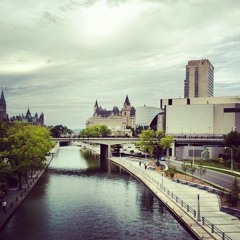 Animal - SSSMOOTH X FEBRUARY BLAZE