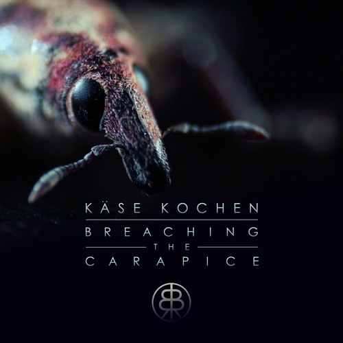 Käse Kochen - Breaking The Carapace (Original Mix)