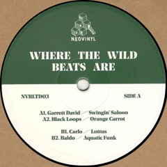 Garrett David / Black Loops / Carlo / Baldo - Where The Wild Beats Are