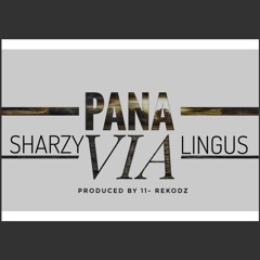 Sharzy X Lingus -PANA VIA-