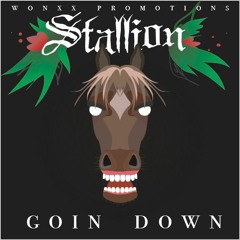 STALLION - GOIN DOWN
