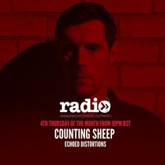 Echoed Distortions - Episode 4 with Counting Sheep
