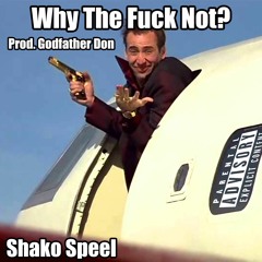 Why The Fuck Not? (Prod. Godfather Don)