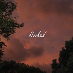 Hooked- Why Don't We (acoustic cover) | Maaike Julène