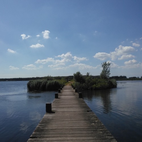 Stream Strange Walk(demo) by om314 | Listen online for free on SoundCloud