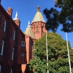 Hidden City - Birmingham Children's Hospital (David Roberts - English)