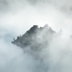 Море облаков - Деревья