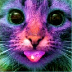 Tripitek