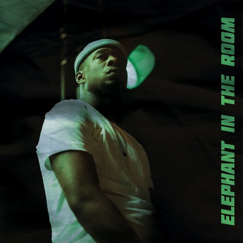 Elephant in the room (Prod. Martin $ky & THEMpeople)