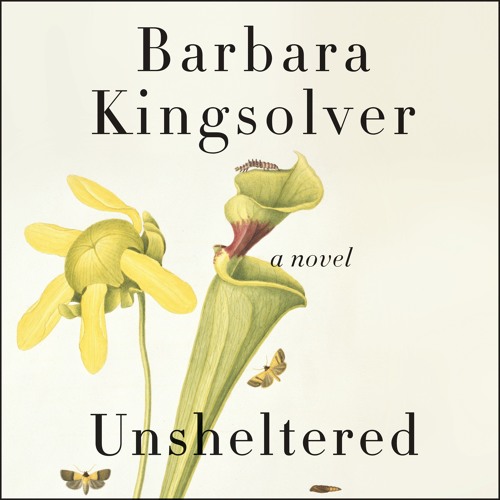 unsheltered barbara kingsolver summary unsheltered barbara kingsolver summary