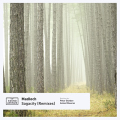 Free Download: Madloch - Sagacity (Anton Dhouran Remix) [Sound Avenue]