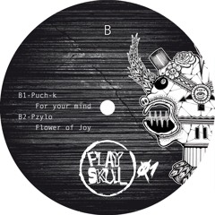 basic acid techno