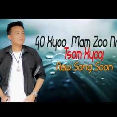 40 Xyoo Mam Zoo Nraug-Tsom Xyooj