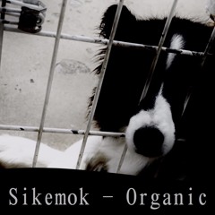 Sikemok - Organic