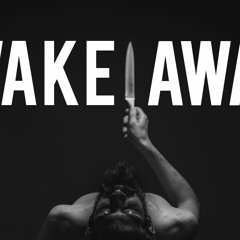 CHAPTER 1 : THE AWAKENING