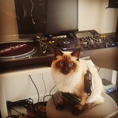 Phil Macdonald - Shenanigans Promo Mix