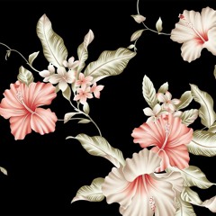 A Girl Named Beyonce (Feat. Santi)