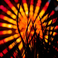 Sting - Shape of my Heart (Daniel Delso)- Instrumental Karaoke