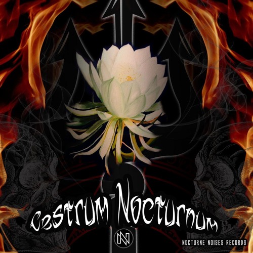 Full Trip Sessions ( OUT NOW ON VA CESTRUM NOCTORUM LINK ON DESCRIPTION )