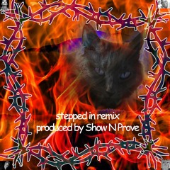 Stepped In Remix (Prod. Show N Prove)