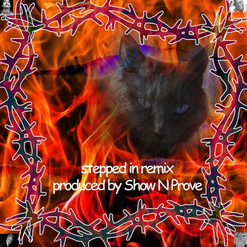 Stepped In Remix (Prod. Show N Prove)