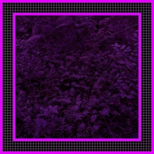 alexander jean - whiskey and morphine