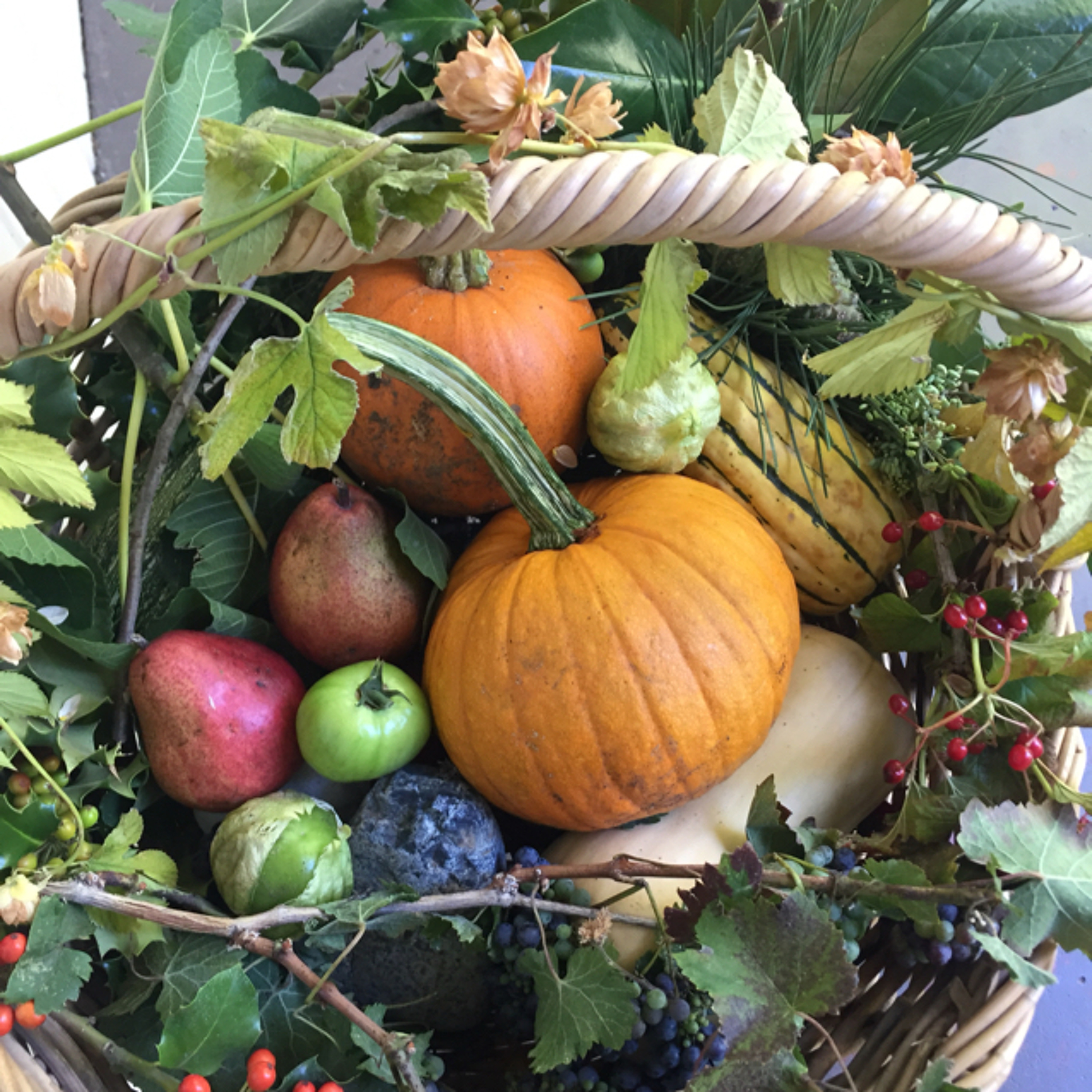 Experience Fall by Foraging for Fall Decor episode artwork