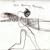 Artwork for I Don't Want To Change You - Damien Rice