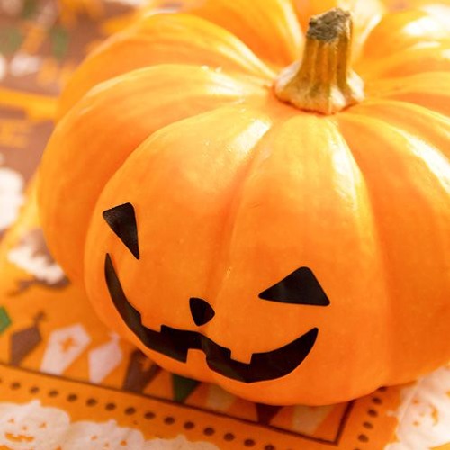 Spook4(Royalty Free Music)