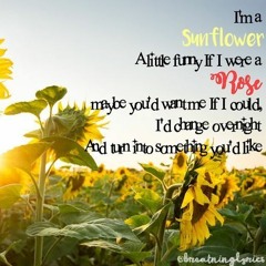 Sunflower - Geo Mcd