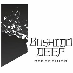 Denis J For Bushido Deep Recordings 2018 Vol.1