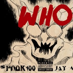 $POOK 100 X JAY MOBBIN - WHO