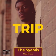 Trip - the SyaMix