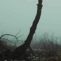 City And Colour Save Your Scissors