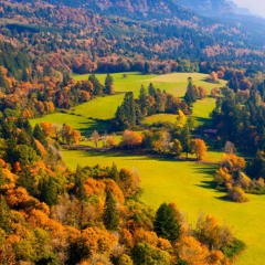 Arijit Singh   Lambiyaan Si Judaiyaan With Lyrics   Raabta   Sushant Rajput, Kri