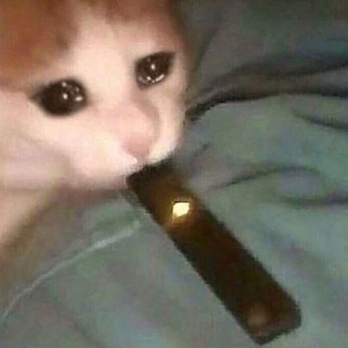without ur love *ass*