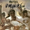 Kodak Black If I M Lyin I M Flyin Lowedd Mp3