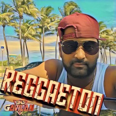 Dj Gavilan _Reggaeton Tropical 2k18