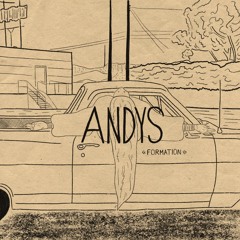 ANDYS – FORMATION