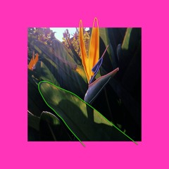 Diskoparadise Mix (Short Edit) | Melbourne Music Week DJ Set | 11/18