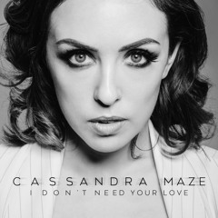 I Don't Need Your Love