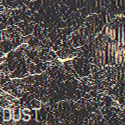 the DUST