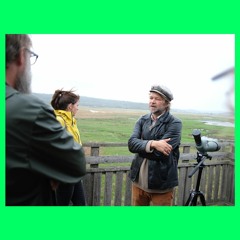 Om relationen mellan litteratur och fåglar, med Tomas Bannerhed.