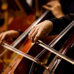 J.S. Bach 6 Suites For Cello Solo (Full Album) Played By István Várdai