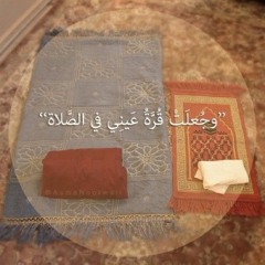 موعظة بليغة من دراسة الفقه باب أوقات النهي في الصلاة .. للشيخ د.حسن بخاري