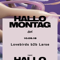 Larse b2b Lovebirds @ Hallo Montag Open Air #20 (10.09.2018)