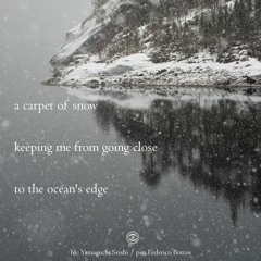 Haiku #247: a carpet of snow / keeping me from going close / to the ocean's edge